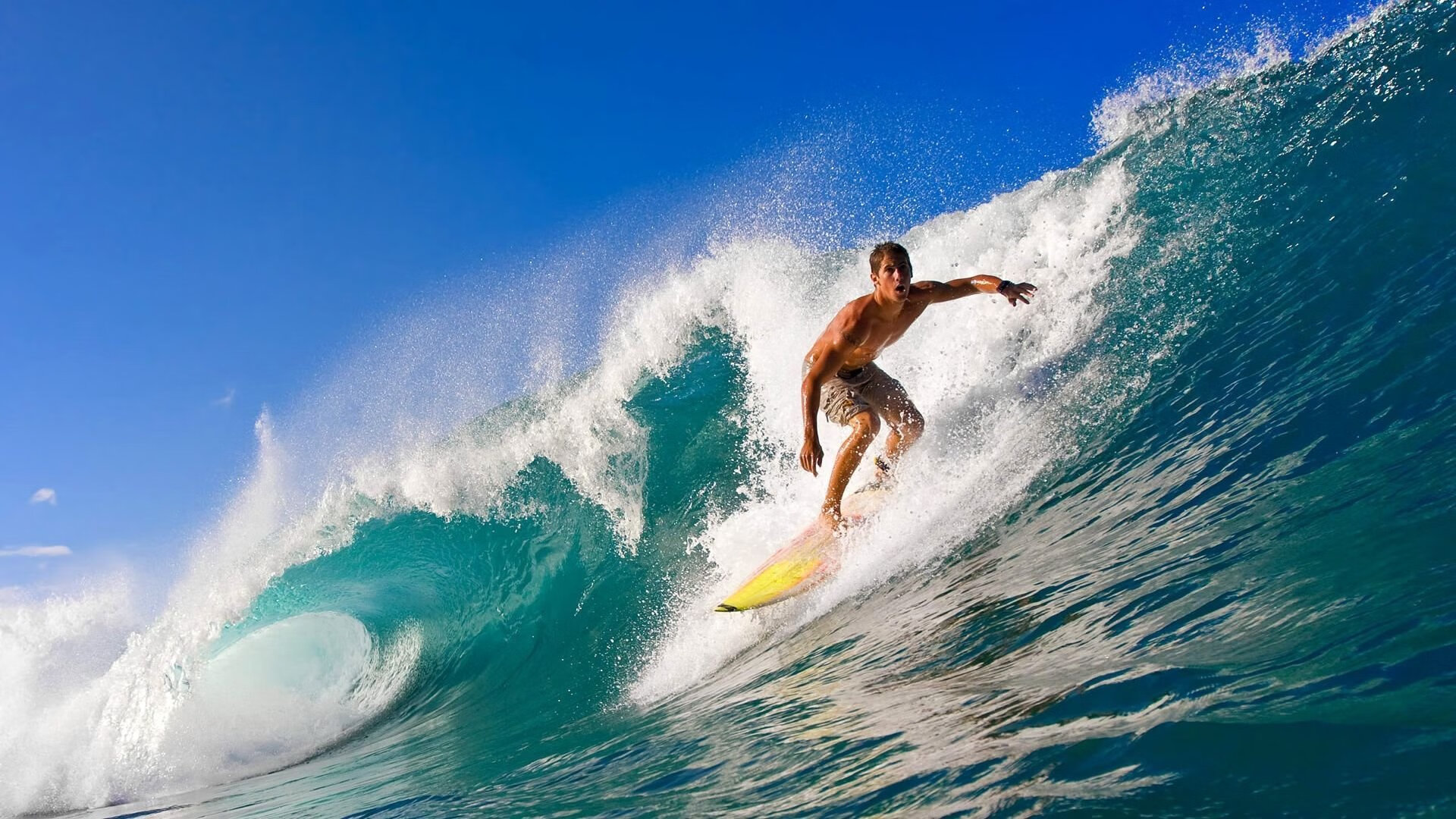 “南非羚羊队的新领袖：埃尔斯·霍斯特的崭露头角”